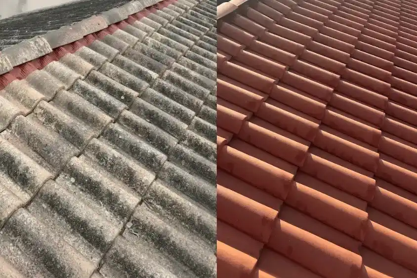démoussage de toiture sale
