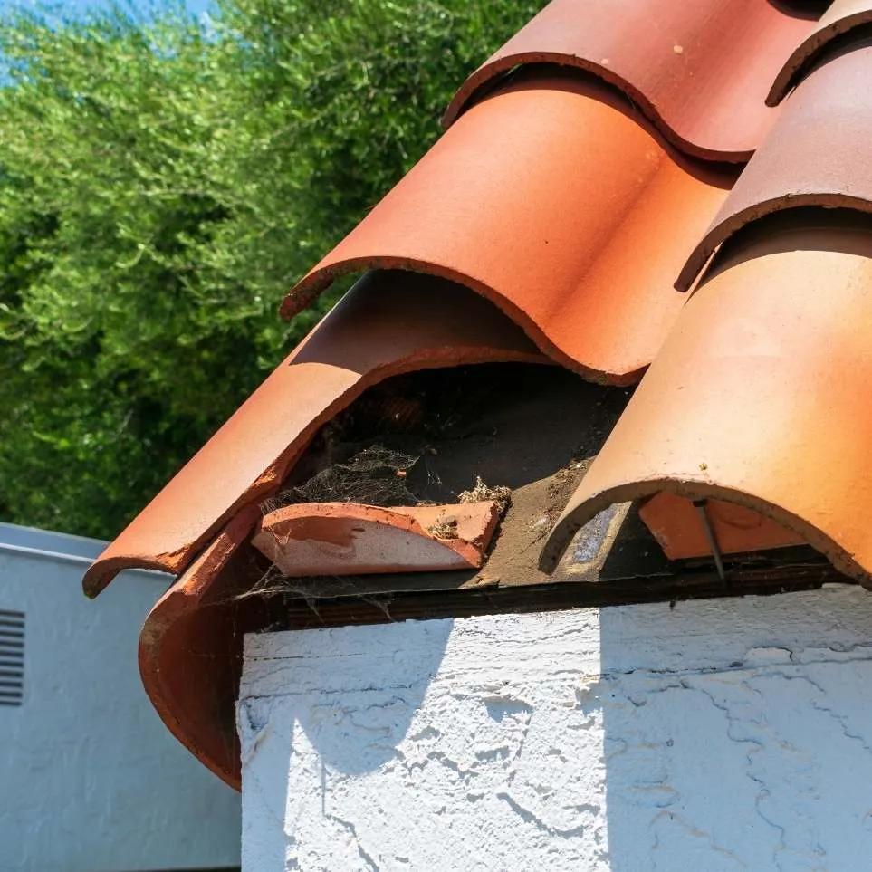 tuile cassée sur toiture
